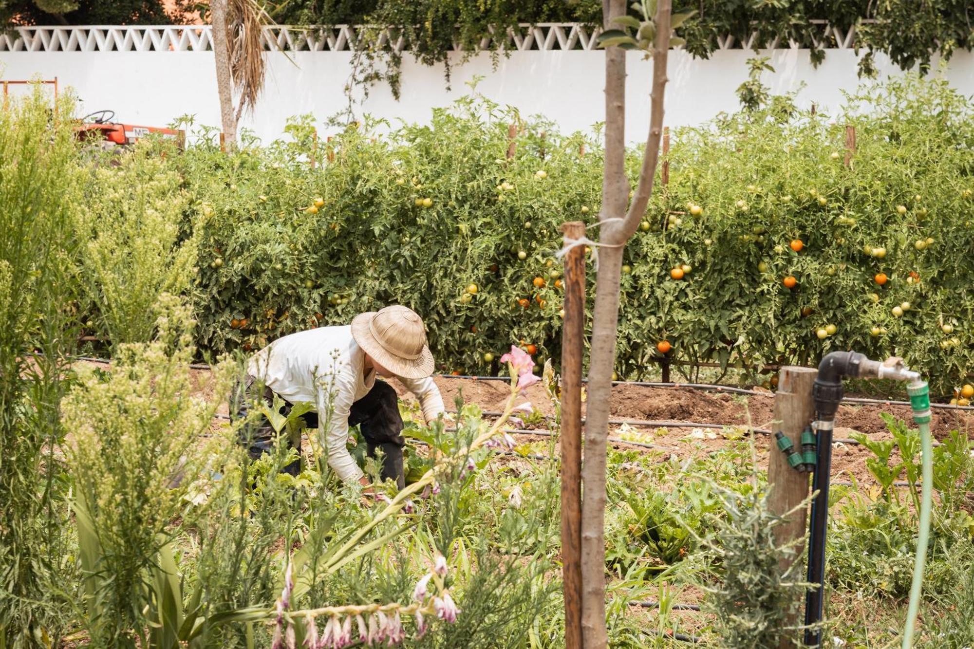 The Green House Alentejo Vila Nova da Baronia Exterior photo